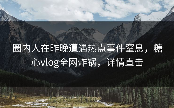 圈内人在昨晚遭遇热点事件窒息，糖心vlog全网炸锅，详情直击
