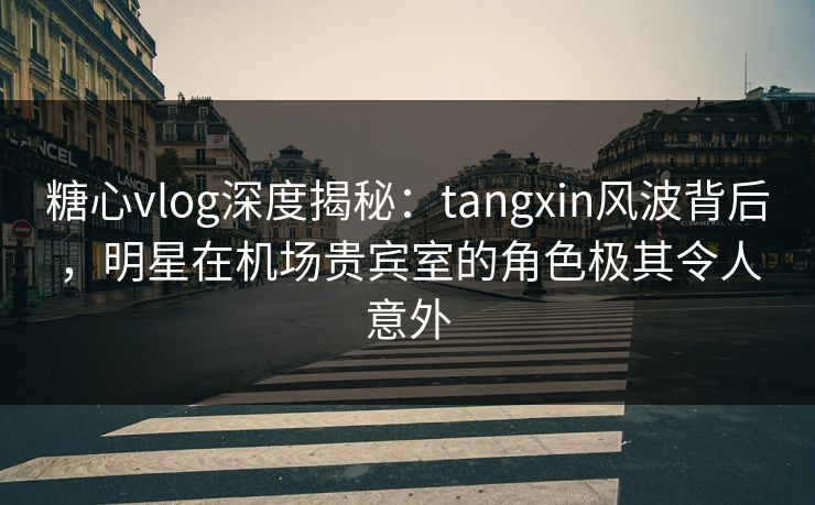 糖心vlog深度揭秘：tangxin风波背后，明星在机场贵宾室的角色极其令人意外