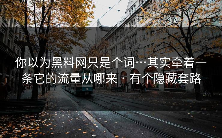 你以为黑料网只是个词…其实牵着一条它的流量从哪来 · 有个隐藏套路